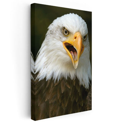 Haykıran Kartal - Güçlü İfadeli Yırtıcı Kuş Kanvas Tablo