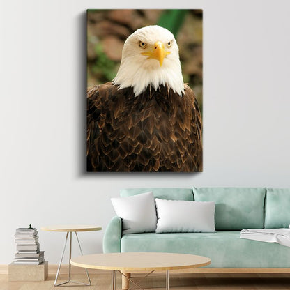 Kel Kartal - Vakur Duruşlu Özgürlük Simgesi Kanvas Tablo