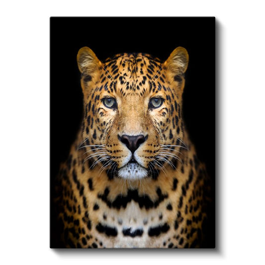 Leopar Portresi - Derin Bakışlı Yırtıcı Kanvas Tablo