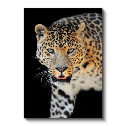 Leopar Yüzü - Keskin Bakışlı Vahşi Kedi Kanvas Tablo