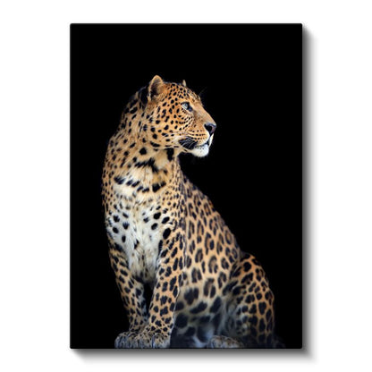Asil Leopar - Zarif Duruşlu Benekli Yırtıcı Kanvas Tablo