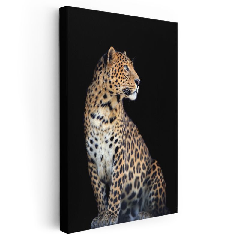 Asil Leopar - Zarif Duruşlu Benekli Yırtıcı Kanvas Tablo