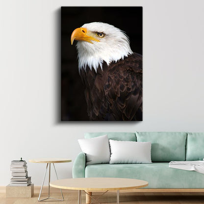 Kartal Profili - Keskin Bakışlı Avcı Kuş Kanvas Tablo