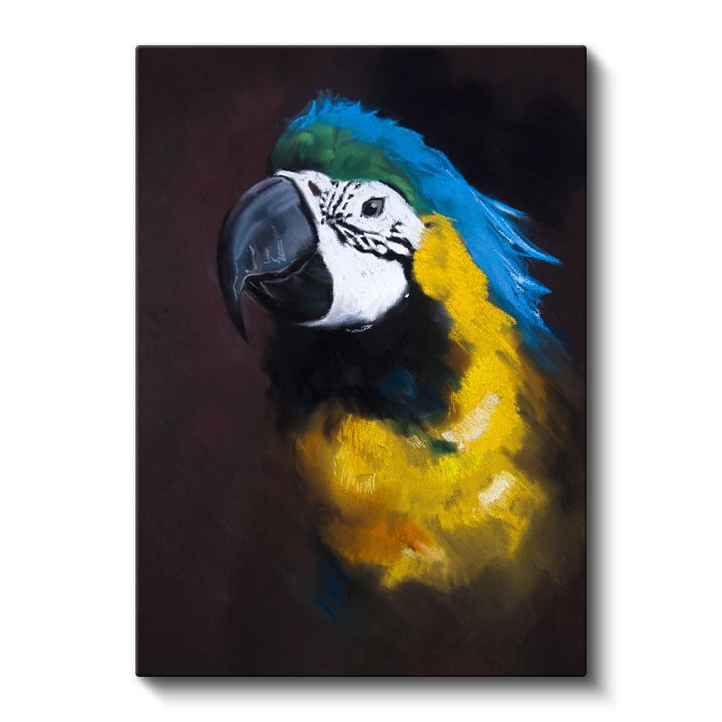 Mavi-Sarı Papağan - Sanatsal Çizimli Egzotik Kuş Kanvas Tablo