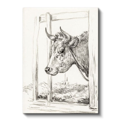Karakalem İnek - Nostaljik Çiftlik Hayvanı Kanvas Tablo