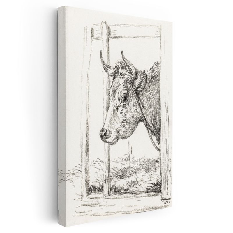 Karakalem İnek - Nostaljik Çiftlik Hayvanı Kanvas Tablo