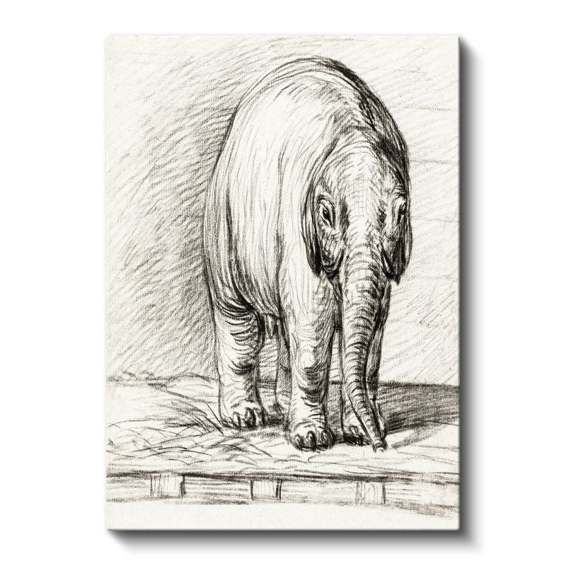 Karakalem Fil - Zarif Duruşlu Devasa Dostumuz Kanvas Tablo