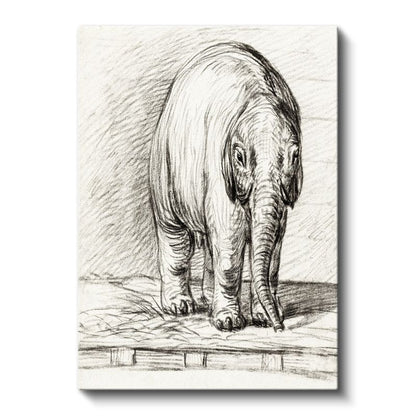 Karakalem Fil - Zarif Duruşlu Devasa Dostumuz Kanvas Tablo