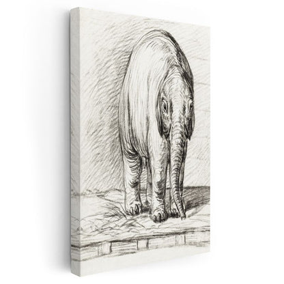 Karakalem Fil - Zarif Duruşlu Devasa Dostumuz Kanvas Tablo