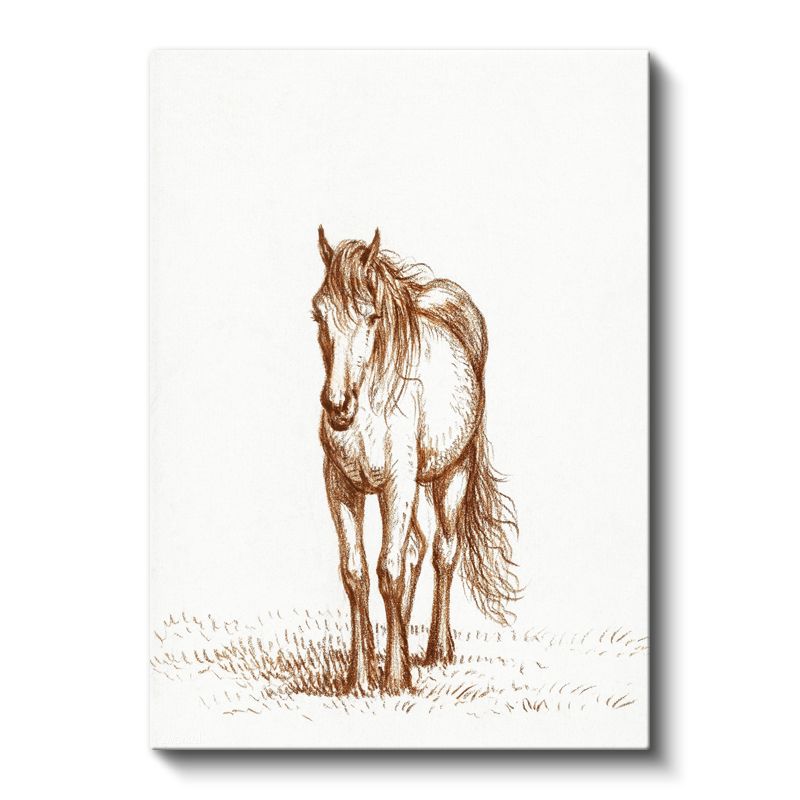 Çizim At - Çayırda Duran Özgür Ruh Kanvas Tablo