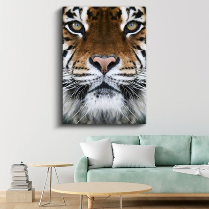 Kaplan Yüzü - Hipnotik Bakışlı Yırtıcı Kanvas Tablo