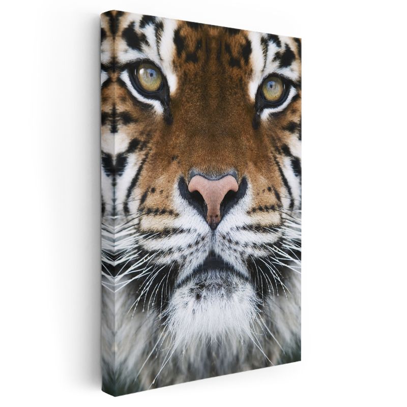 Kaplan Yüzü - Hipnotik Bakışlı Yırtıcı Kanvas Tablo