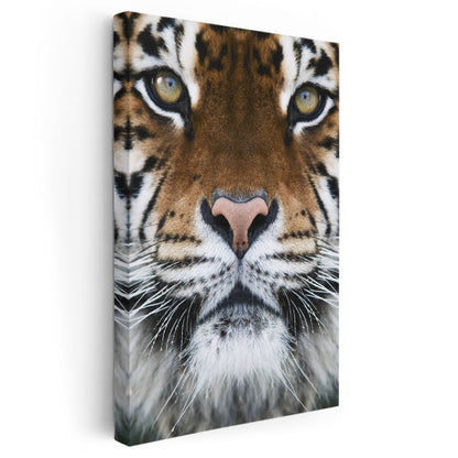 Kaplan Yüzü - Hipnotik Bakışlı Yırtıcı Kanvas Tablo