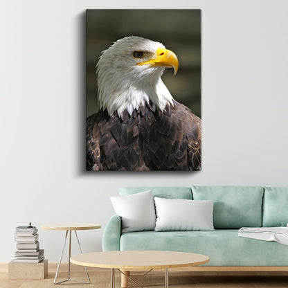Kel Kartal - Asil Profilli Özgürlük Simgesi Kanvas Tablo