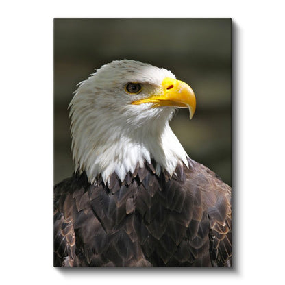 Kel Kartal - Asil Profilli Özgürlük Simgesi Kanvas Tablo