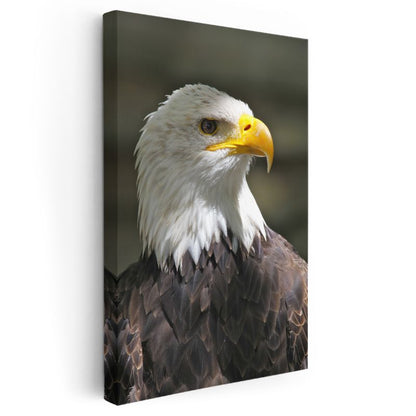 Kel Kartal - Asil Profilli Özgürlük Simgesi Kanvas Tablo