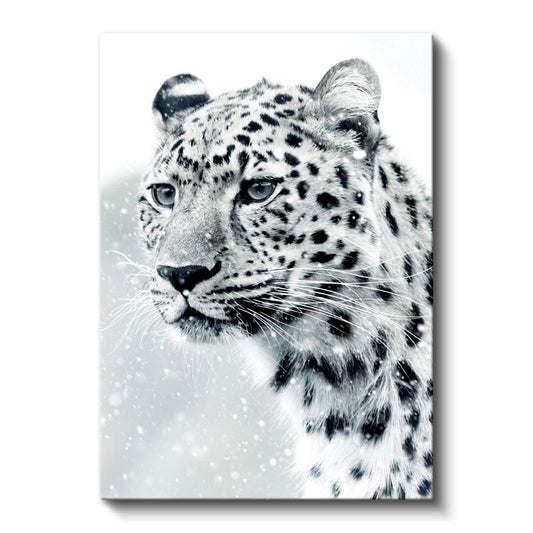 Kar Leoparı - Soğuk İklimin Zarif Avcısı Kanvas Tablo