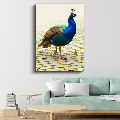 Mavi Tavus Kuşu - İhtişamlı Tüylü Güzellik Kanvas Tablo