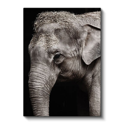 Fil Portresi - Bilge Bakışlı Devasa Dostumuz Kanvas Tablo