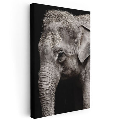 Fil Portresi - Bilge Bakışlı Devasa Dostumuz Kanvas Tablo