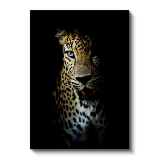 Gölgeli Leopar - Gizemli Bakışlı Yırtıcı Kanvas Tablo