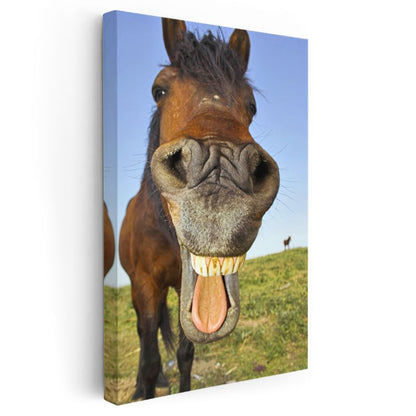 Gülen At - Neşeli İfadeli Komik Portre Kanvas Tablo