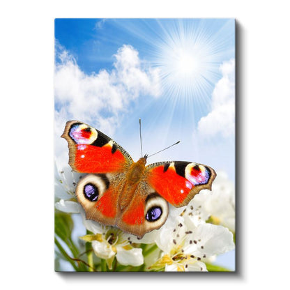 Turuncu Kelebek - Çiçek Üstünde Narin Kanatlar Kanvas Tablo