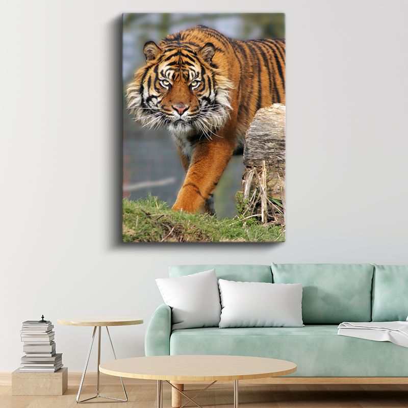 Kaplan Portresi - Keskin Bakışlı Orman Kralı Kanvas Tablo