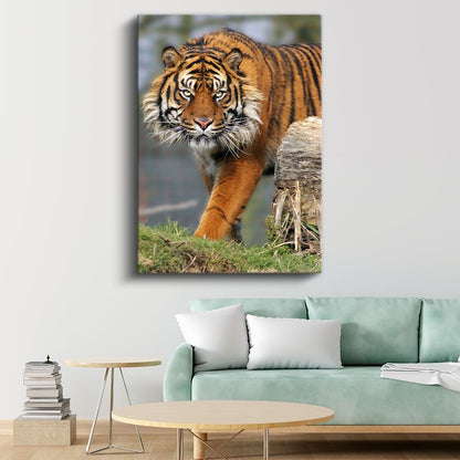 Kaplan Portresi - Keskin Bakışlı Orman Kralı Kanvas Tablo