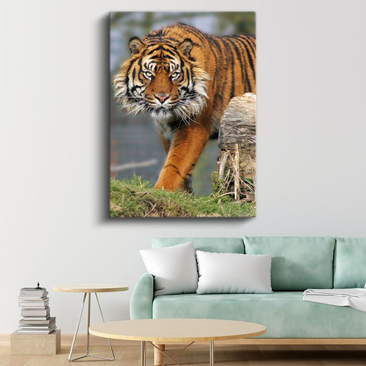 Kaplan Portresi - Keskin Bakışlı Orman Kralı Kanvas Tablo