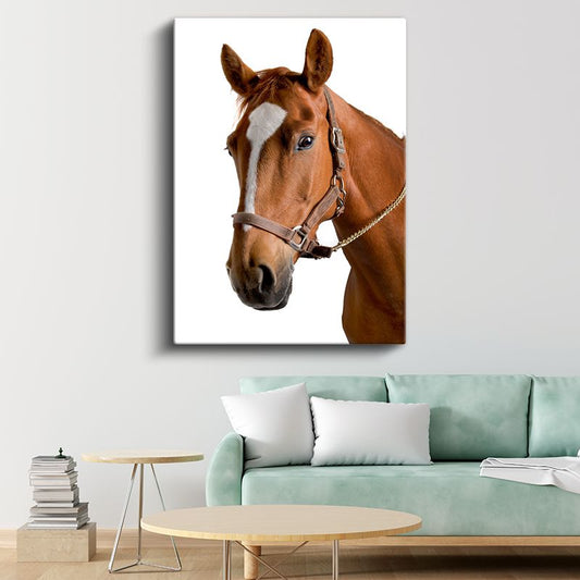Kahverengi At - Soylu Duruşlu Safkan Portre Kanvas Tablo