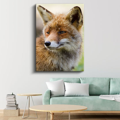 Kızıl Tilki - Keskin Bakışlı Orman Avcısı Kanvas Tablo