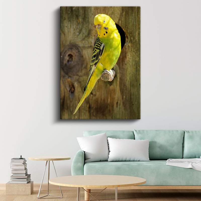Sarı Muhabbet Kuşu - Sevimli Bakışlı Minik Dost Kanvas Tablo