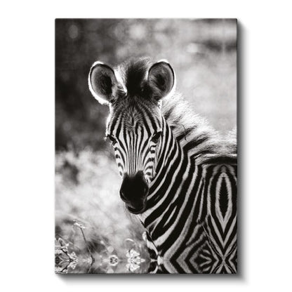 Zebra Portresi - Çizgili Desenli Afrika Güzeli Kanvas Tablo