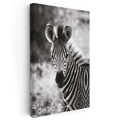 Zebra Portresi - Çizgili Desenli Afrika Güzeli Kanvas Tablo