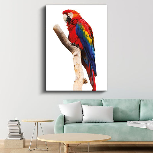 Kırmızı Ara Papağanı - Renkli Tüylü Tropikal Kuş Kanvas Tablo