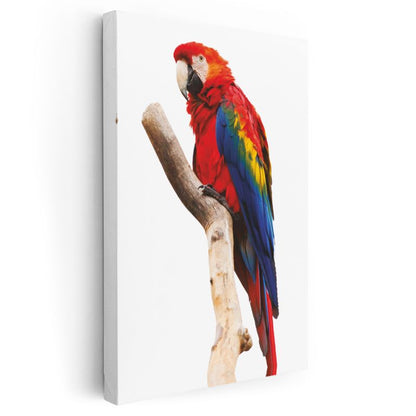 Kırmızı Ara Papağanı - Renkli Tüylü Tropikal Kuş Kanvas Tablo