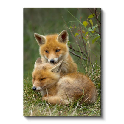 Tilki Ailesi - Şefkatli Anne Yavru Portresi Kanvas Tablo