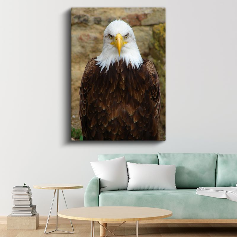Kartal Portresi - Heybetli Bakışlarıyla Amerikan Kartalı Kanvas Tablo