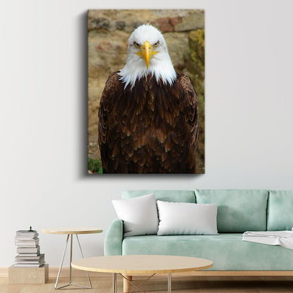 Kartal Portresi - Heybetli Bakışlarıyla Amerikan Kartalı Kanvas Tablo