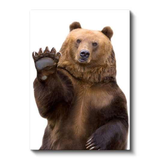 Sevimli Ayı - Pençesini Kaldıran Kahverengi Boz Ayı Kanvas Tablo