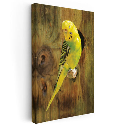 Renkli Muhabbet Kuşu - Sarı-Yeşil Tüyleriyle Minik Papağan Kanvas Tablo