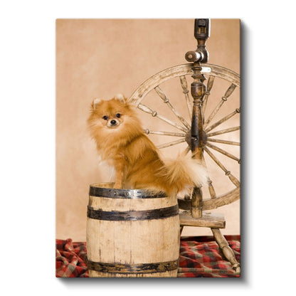 Pomeranian Köpek - Ahşap Fıçı Üzerinde Sevimli Tüylü Dost Kanvas Tablo