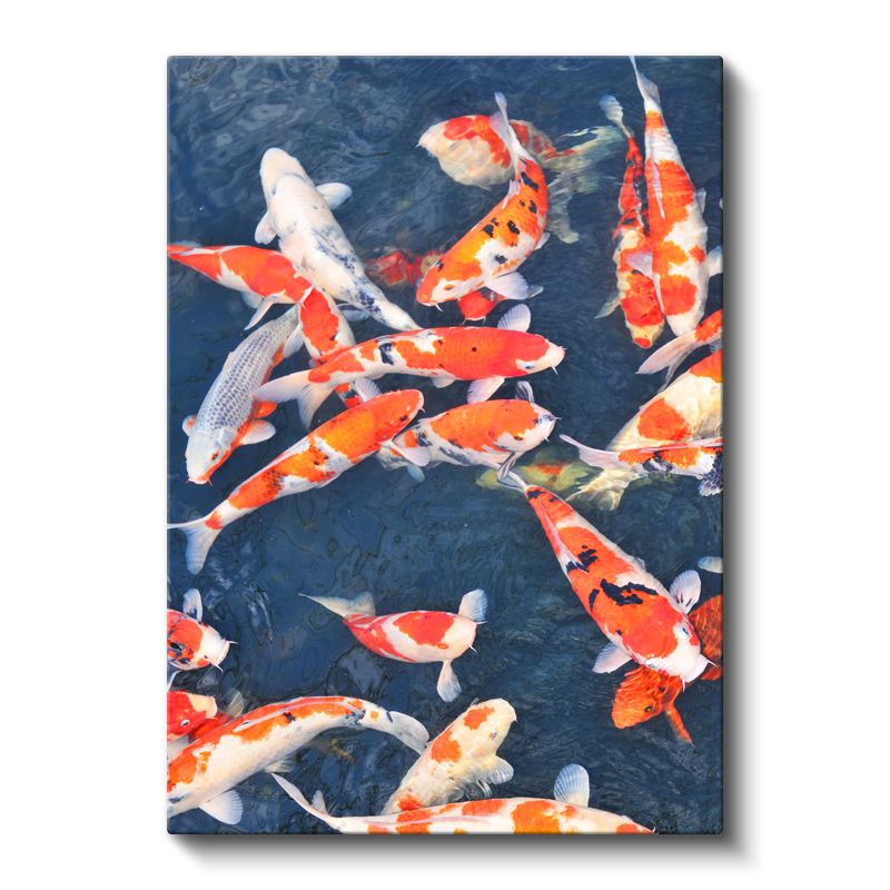 Koi Balıkları - Mavi Suda Dans Eden Turuncu-Beyaz Japon Balıkları Kanvas Tablo