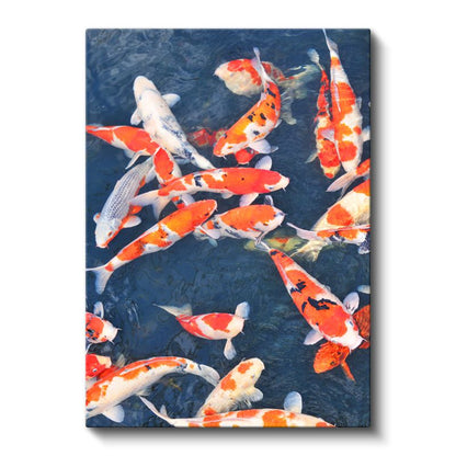 Koi Balıkları - Mavi Suda Dans Eden Turuncu-Beyaz Japon Balıkları Kanvas Tablo