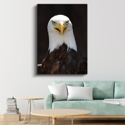 Kartal Bakışı - Keskin Gözleriyle Yırtıcı Amerikan Kartalı Kanvas Tablo
