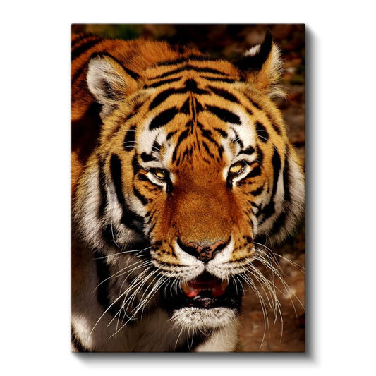 Kaplan Portresi - Vahşi Doğanın Güçlü Kralı Kanvas Tablo