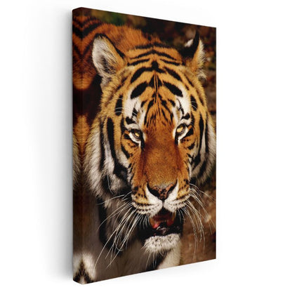 Kaplan Portresi - Vahşi Doğanın Güçlü Kralı Kanvas Tablo