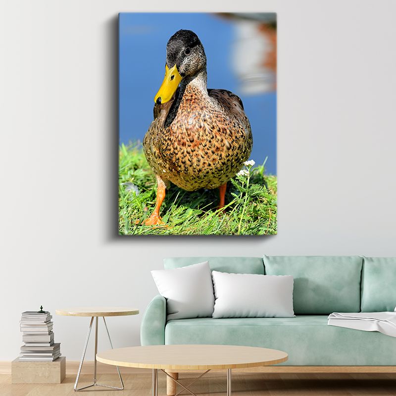 Ördek Portresi - Sarı Gagalı Benekli Ördek Kanvas Tablo