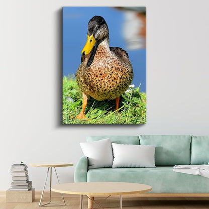 Ördek Portresi - Sarı Gagalı Benekli Ördek Kanvas Tablo